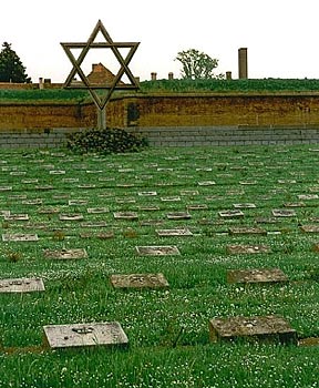 foto19.jpg