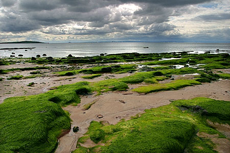 foto03.jpg