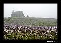 foto07