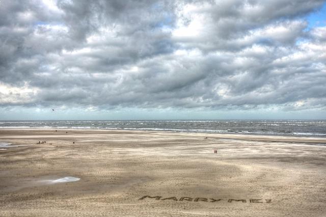 Texel2009-0007.jpg