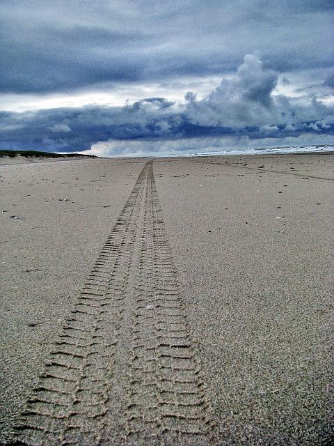 Texel2009-0008.jpg