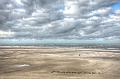 Texel2009-0007