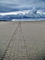Texel2009-0008