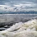 Texel2009-0009