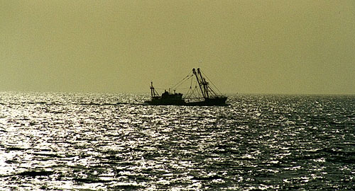 foto08.jpg