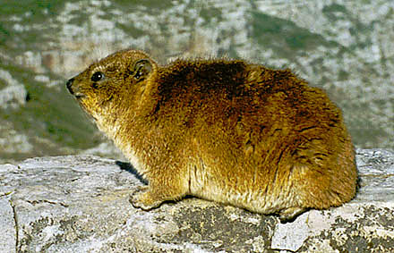 foto07.jpg