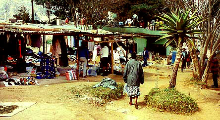 foto10.jpg