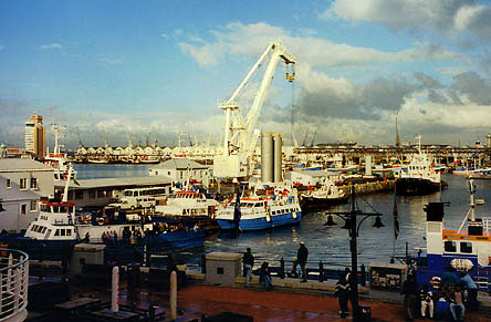 foto14.jpg