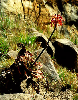 foto17.jpg