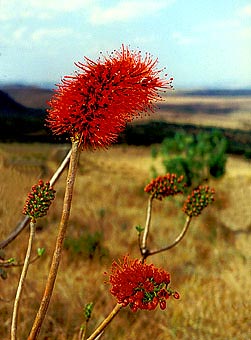 foto20.jpg