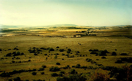 foto21.jpg