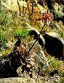 foto17