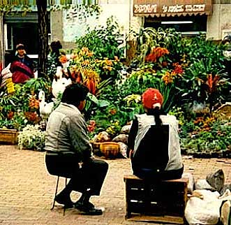 foto07.jpg