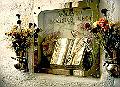 FOTO15