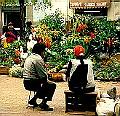 foto07