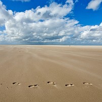 Contemplatieve Landschappen