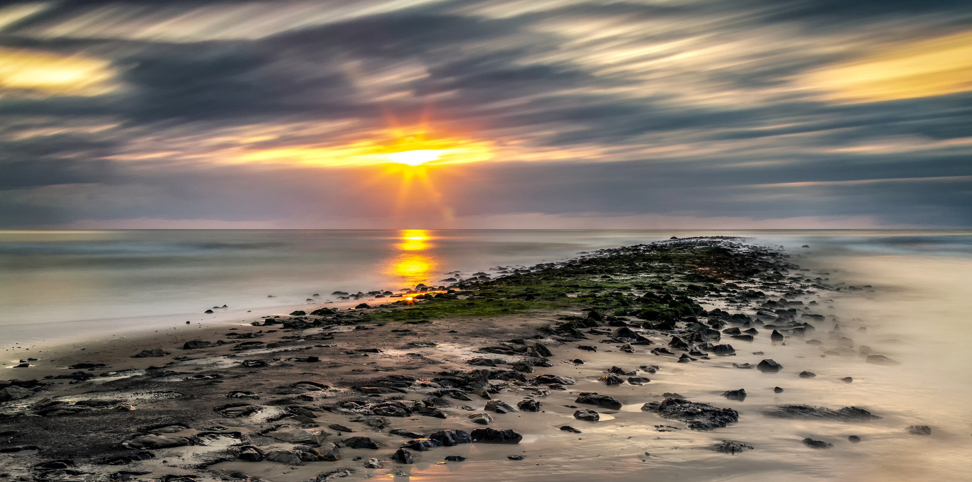 Texel